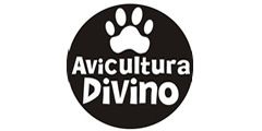 Avicultura Divino